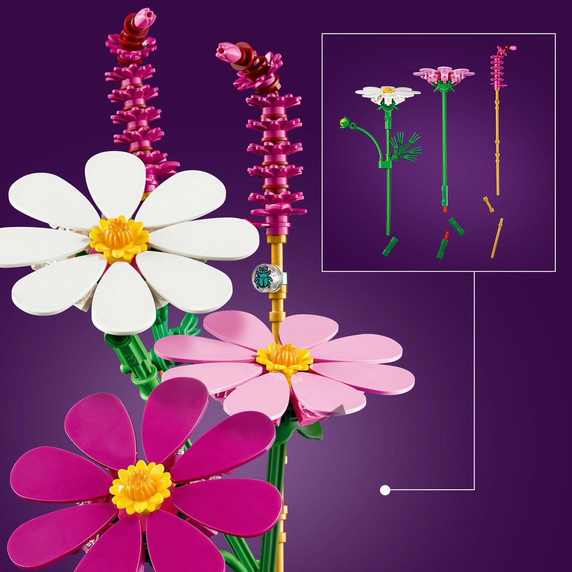 6 Image Preview